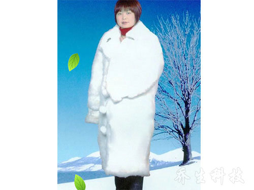 鹅特色产业化