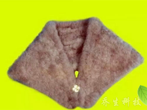 鹅特色产业化