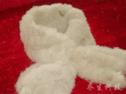 鹅特色产业化