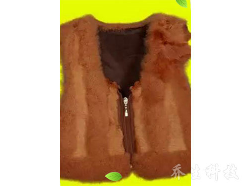 鹅特色产业化