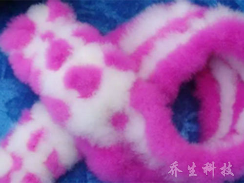 鹅特色产业化