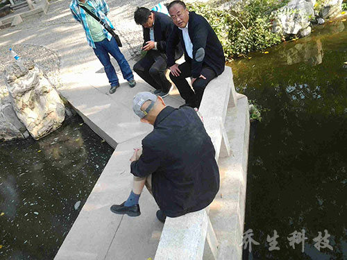 北京陶然亭公园污染水体治理对比图