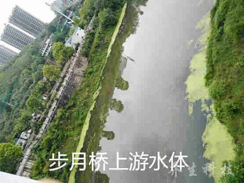邵阳邵水河现状