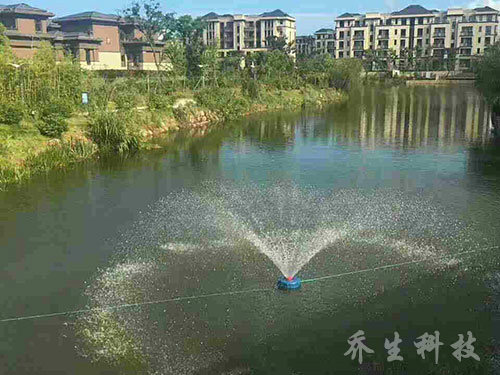 舟山市普佗区鲁家峙河治理过程