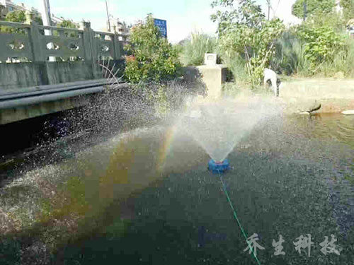 舟山市普佗区鲁家峙河治理过程
