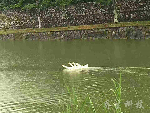 舟山市普佗区鲁家峙河治理后