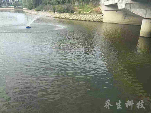 舟山市普佗区鲁家峙河治理过程图