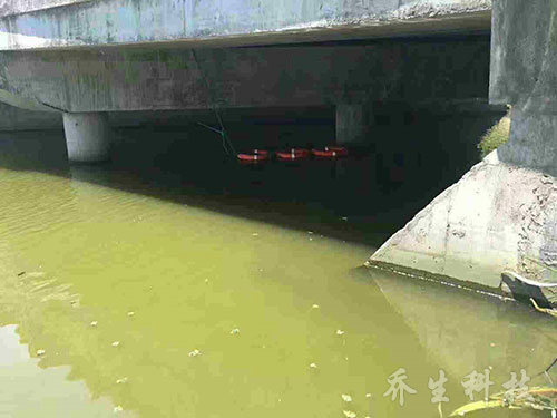 舟山市普佗区鲁家峙河治理前水体图