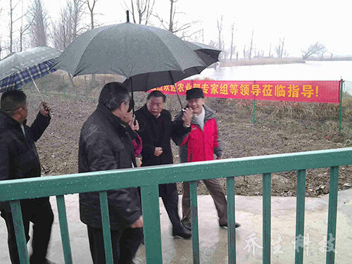 农业部专家组考察定远