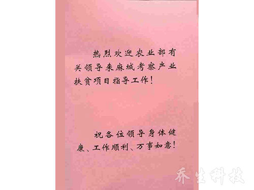 考查麻城产业扶贫项目