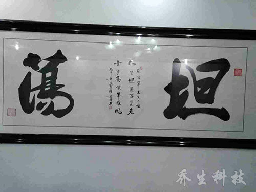 西安政府演讲