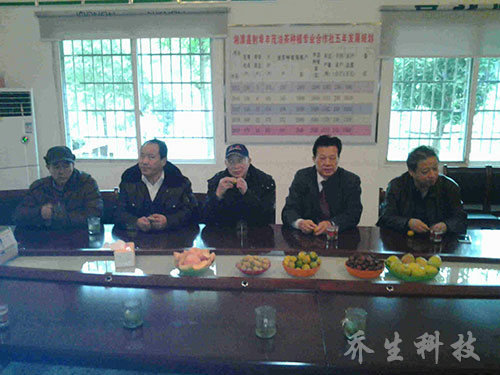 在湘潭考察油茶产业