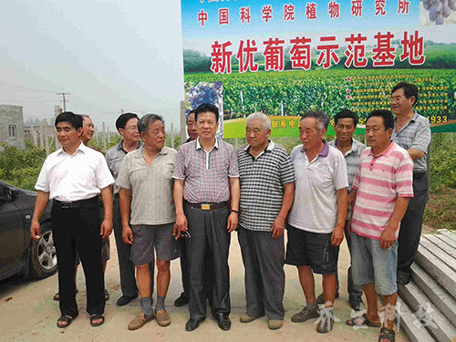 到河北晋州考察农业产业