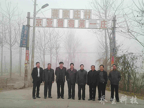 专家组到河北晋州市考察林业产业