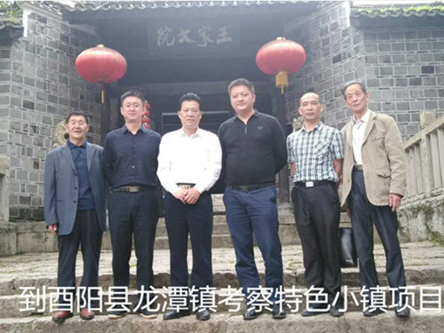 龙潭镇考察特色小镇项目