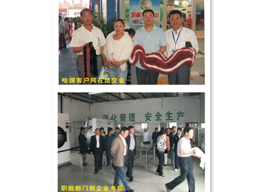 鹅特色产业化