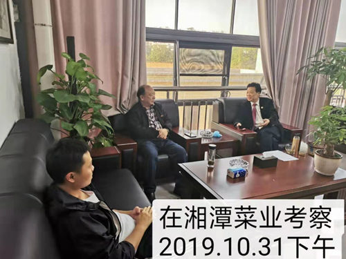 湘潭菜业实地考察