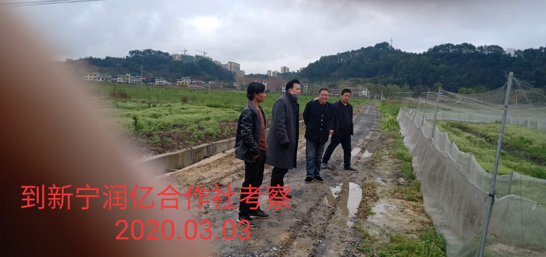 新宁润亿合作社考察
