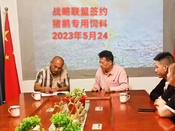 乔生科技战略联盟食叶草专用猪鹅饲料在2023年5月24合作签约