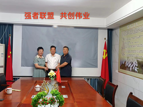 强者联盟，共创伟业