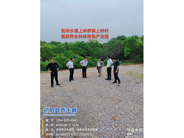 到冷水滩上岭桥镇上岭村规划乔生科技特色产业园