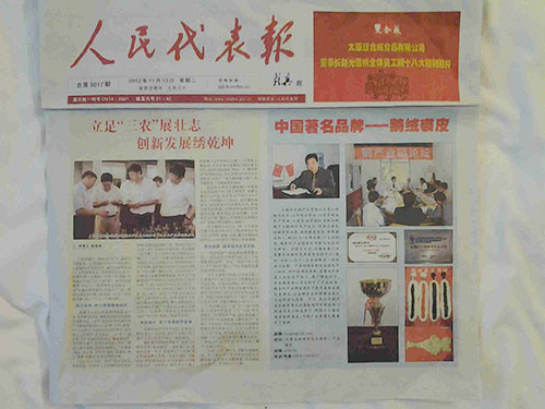 湖南乔生科技有限公司,污染水体还原,鹅特色产业化,高新技术研发,新能源产品销售,科技信息咨询服务