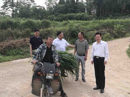 湖南乔生科技有限公司,污染水体还原,鹅特色产业化,高新技术研发,新能源产品销售,科技信息咨询服务