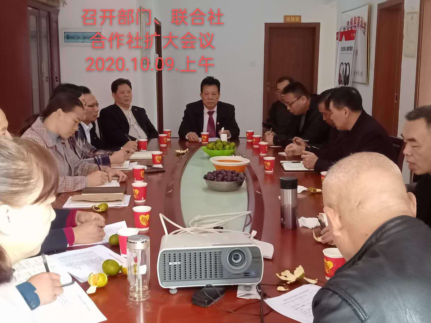 湖南乔生科技有限公司,污染水体还原,鹅特色产业化,高新技术研发,新能源产品销售,科技信息咨询服务
