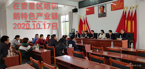 湖南乔生科技有限公司,污染水体还原,鹅特色产业化,高新技术研发,新能源产品销售,科技信息咨询服务