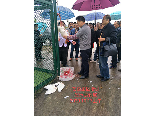 湖南乔生科技有限公司,污染水体还原,鹅特色产业化,高新技术研发,新能源产品销售,科技信息咨询服务