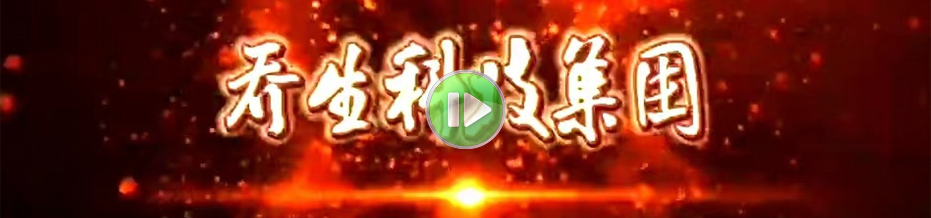 湖南乔生科技有限公司_鹅特色产业化|高新技术研发|新能源产品销售|科技信息咨询服务