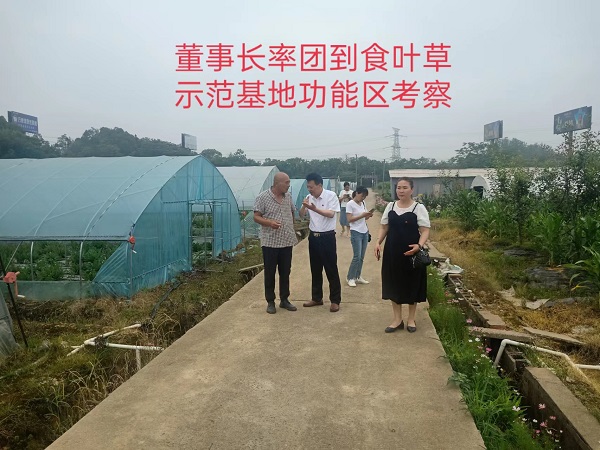 湖南乔生科技有限公司,污染水体还原,鹅特色产业化,高新技术研发,新能源产品销售,科技信息咨询服务