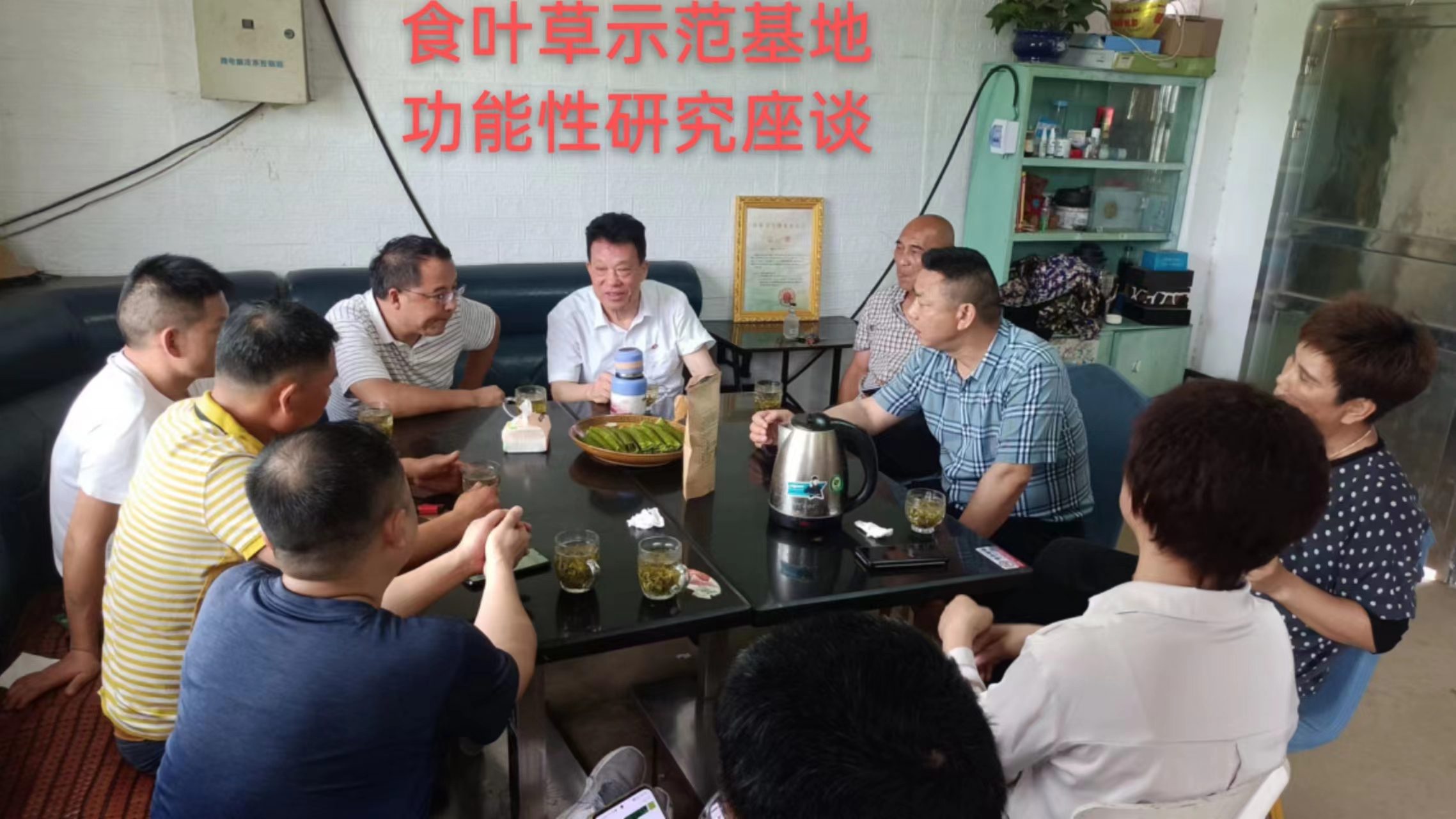 湖南乔生科技有限公司,污染水体还原,鹅特色产业化,高新技术研发,新能源产品销售,科技信息咨询服务