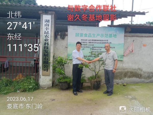 湖南乔生科技有限公司,污染水体还原,鹅特色产业化,高新技术研发,新能源产品销售,科技信息咨询服务