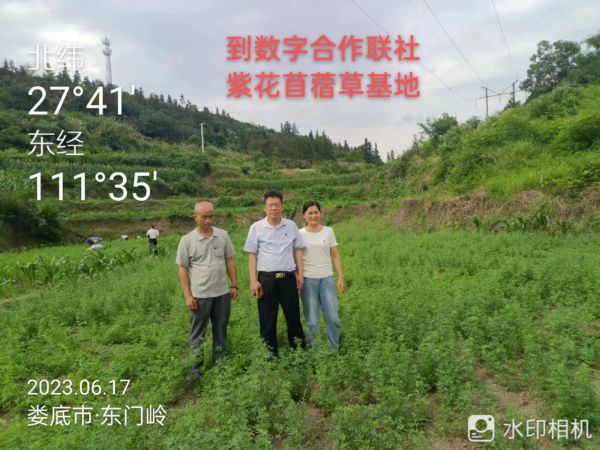 湖南乔生科技有限公司,污染水体还原,鹅特色产业化,高新技术研发,新能源产品销售,科技信息咨询服务