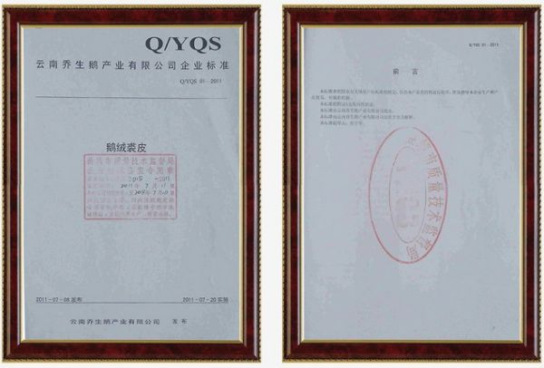 湖南乔生科技有限公司,污染水体还原,鹅特色产业化,高新技术研发,新能源产品销售,科技信息咨询服务