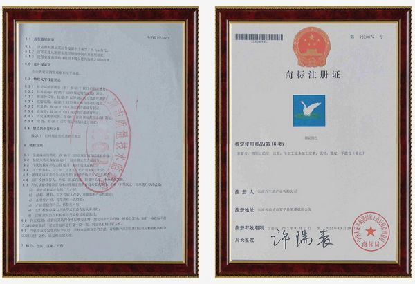 湖南乔生科技有限公司,污染水体还原,鹅特色产业化,高新技术研发,新能源产品销售,科技信息咨询服务