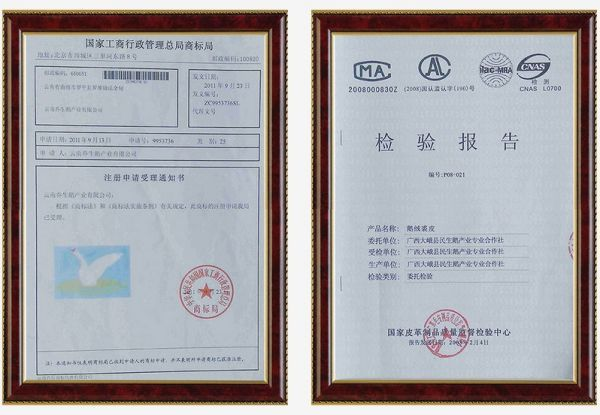 湖南乔生科技有限公司,污染水体还原,鹅特色产业化,高新技术研发,新能源产品销售,科技信息咨询服务