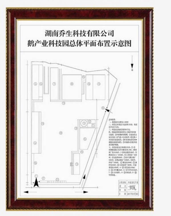 湖南乔生科技有限公司,污染水体还原,鹅特色产业化,高新技术研发,新能源产品销售,科技信息咨询服务