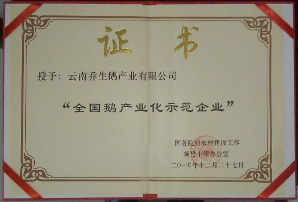 湖南乔生科技有限公司,污染水体还原,鹅特色产业化,高新技术研发,新能源产品销售,科技信息咨询服务