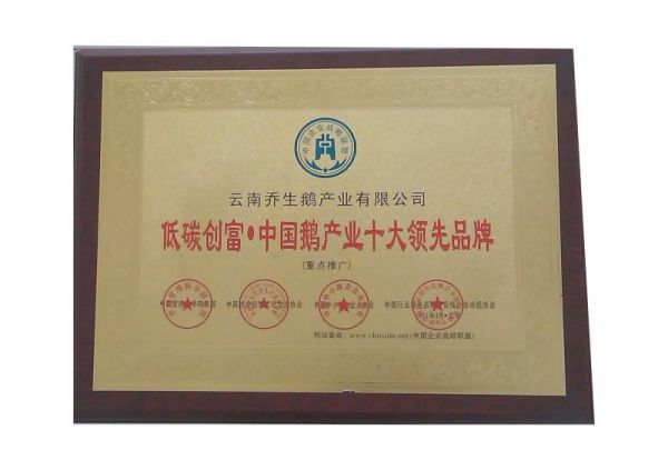湖南乔生科技有限公司,污染水体还原,鹅特色产业化,高新技术研发,新能源产品销售,科技信息咨询服务