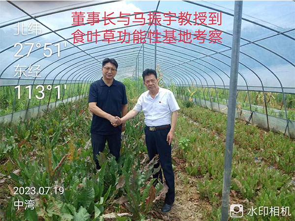 湖南乔生科技有限公司,污染水体还原,鹅特色产业化,高新技术研发,新能源产品销售,科技信息咨询服务