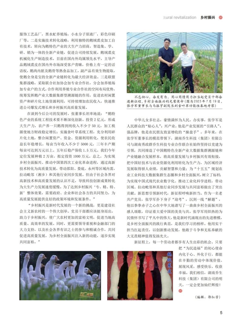 湖南乔生科技有限公司,污染水体还原,鹅特色产业化,高新技术研发,新能源产品销售,科技信息咨询服务